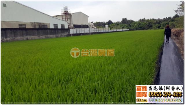 嘉義農地-1