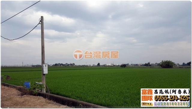 嘉義農地-3