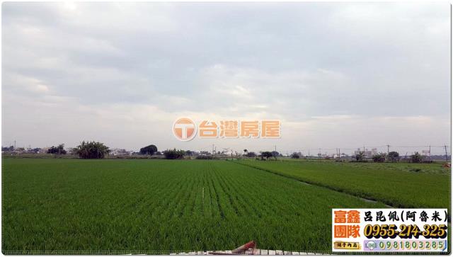 嘉義農地-4