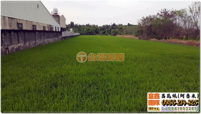 嘉義農地-6