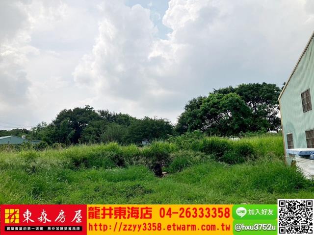 台中沙鹿旱-5