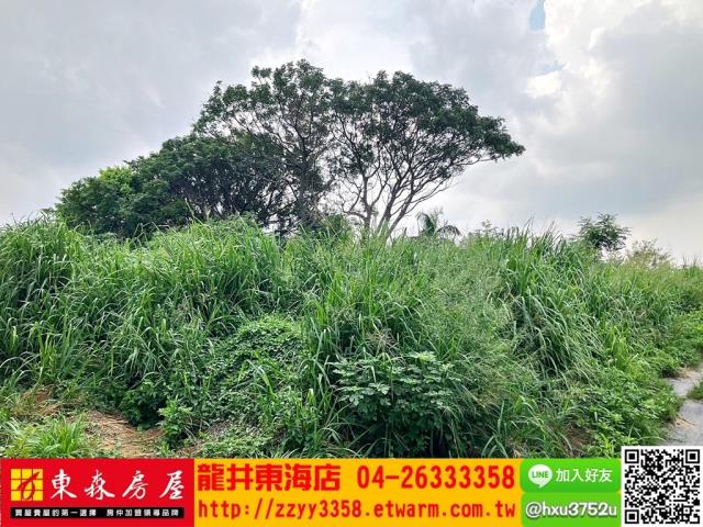 台中沙鹿旱-6