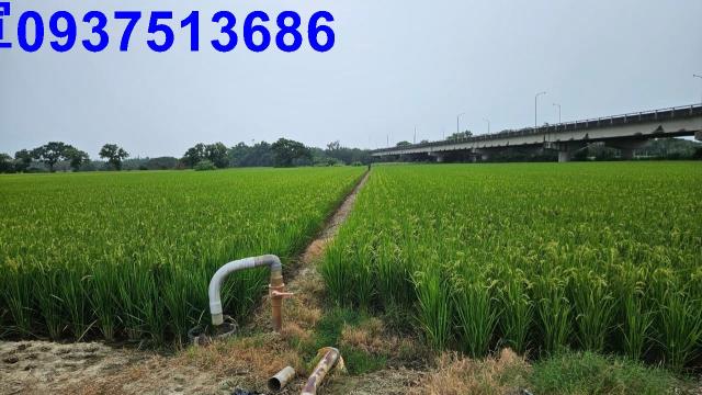 嘉義六腳農地-5