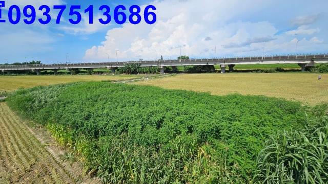 嘉義六腳農地-1