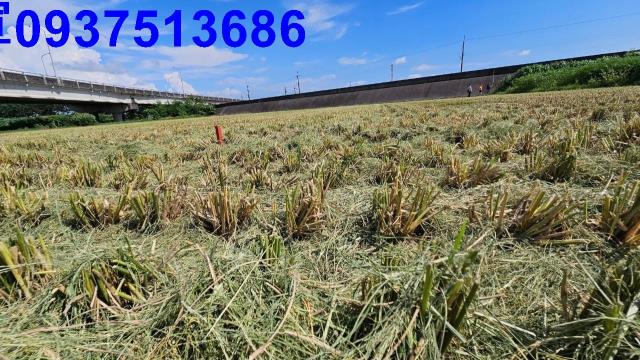 嘉義六腳農地-9