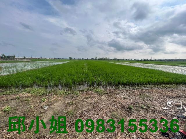 嘉義新港農地-1