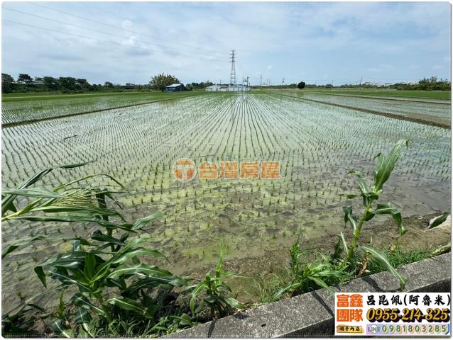嘉義溪口農地-2