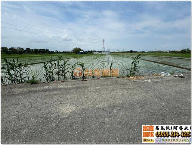 嘉義溪口農地-4