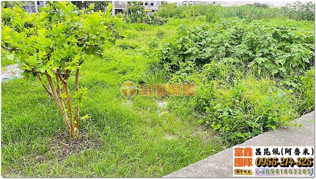 嘉義大林農地-2