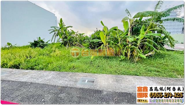 嘉義大林農地-4