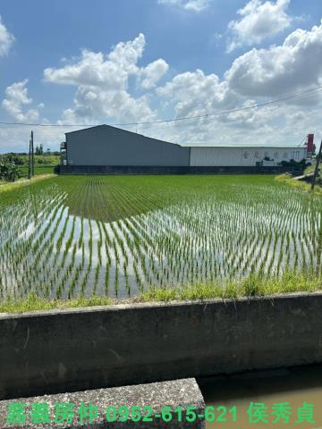 嘉義民雄農地-10