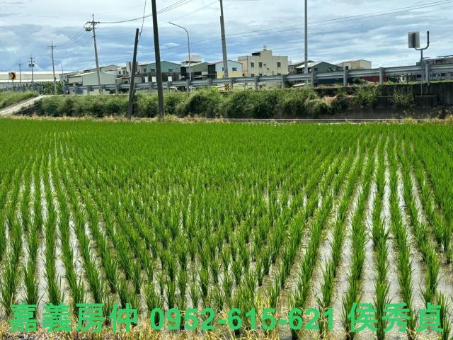 嘉義民雄農地-13