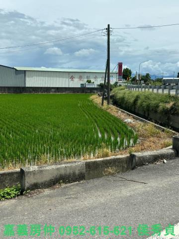 嘉義民雄農地-6