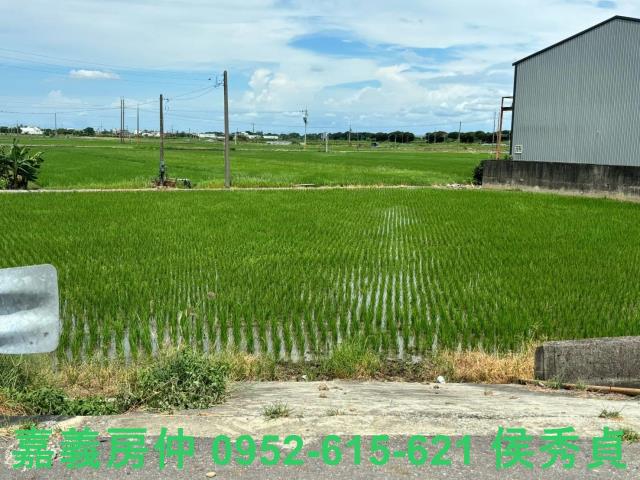 嘉義民雄農地-8