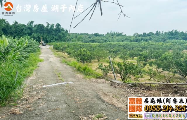 嘉義大林農地-7