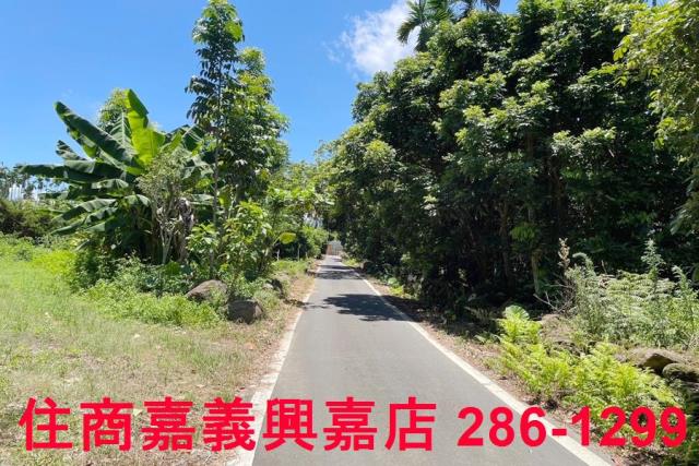 嘉義中埔農地-10