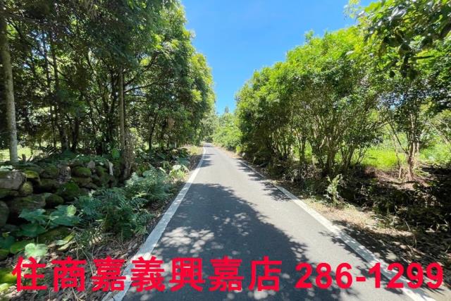 嘉義中埔農地-1