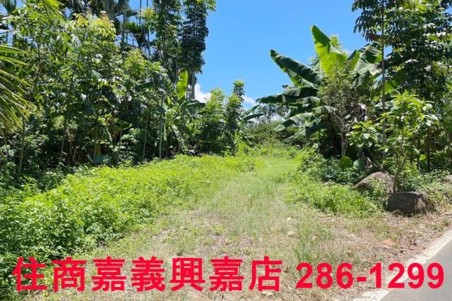 嘉義中埔農地-2