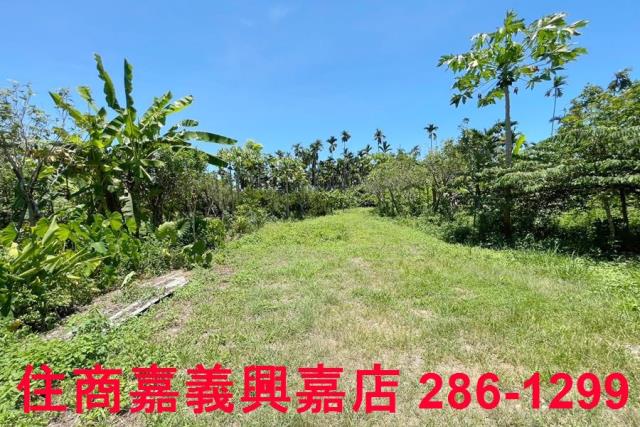 嘉義中埔農地-4