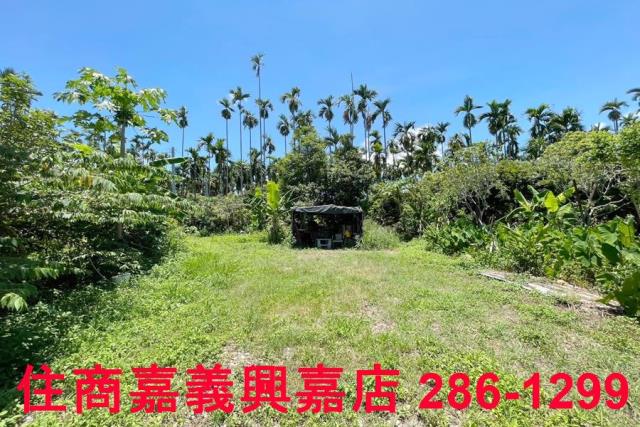 嘉義中埔農地-5