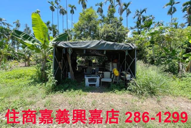 嘉義中埔農地-6