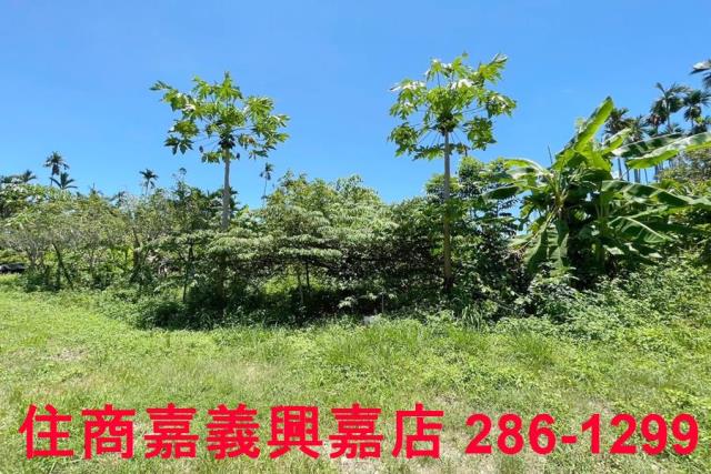 嘉義中埔農地-7