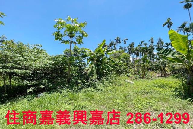 嘉義中埔農地-8