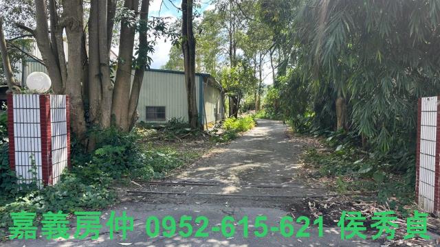 嘉義梅山農地-8