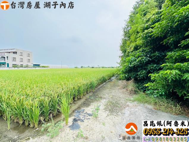 嘉義太保農地-3