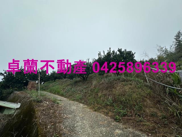 卓蘭農地-10
