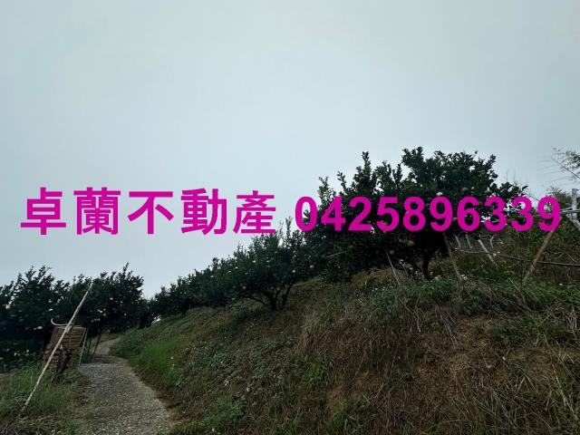 卓蘭農地-12