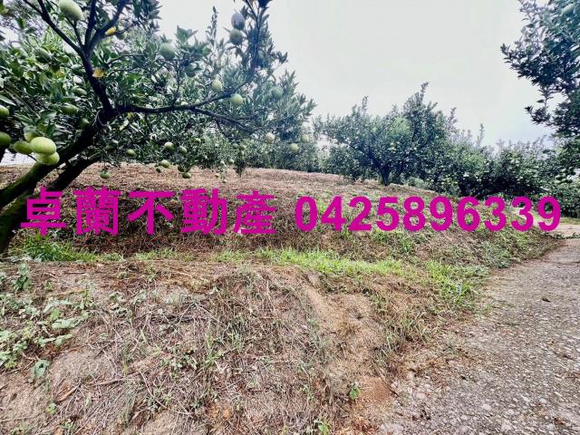 卓蘭農地-13