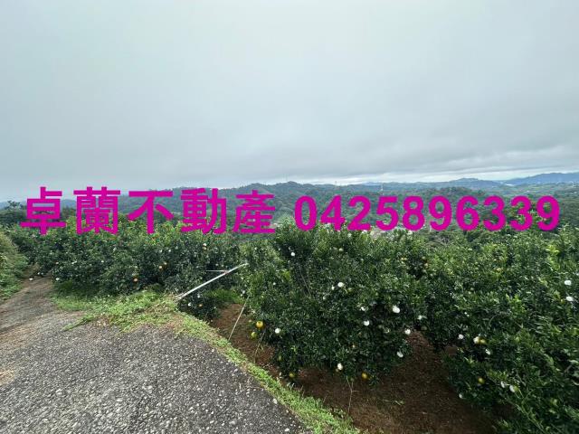 卓蘭農地-3