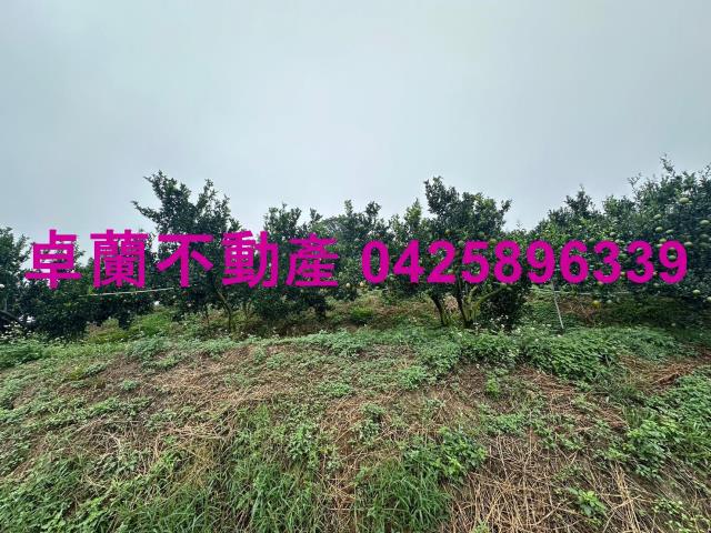 卓蘭農地-4