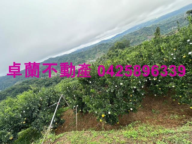卓蘭農地-5