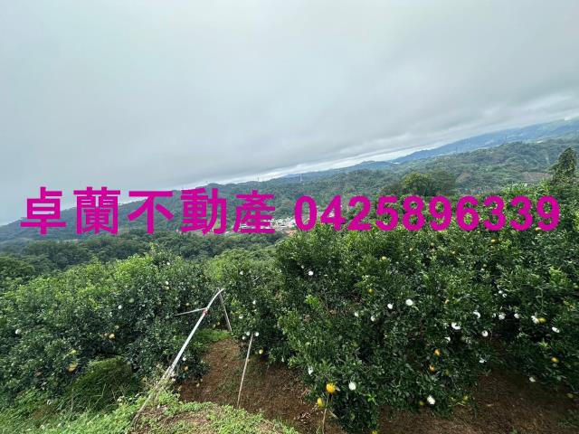 卓蘭農地-6