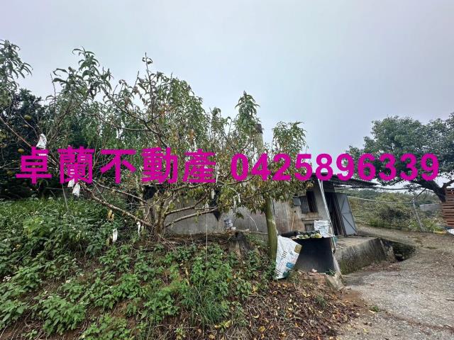 卓蘭農地-8