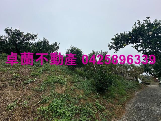 卓蘭農地-9