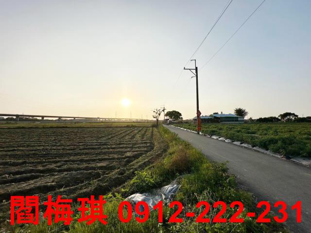 新市農地-10