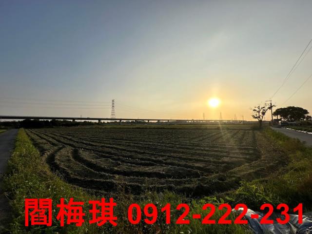 新市農地-11