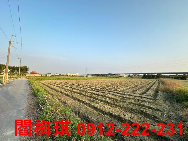 新市農地-5
