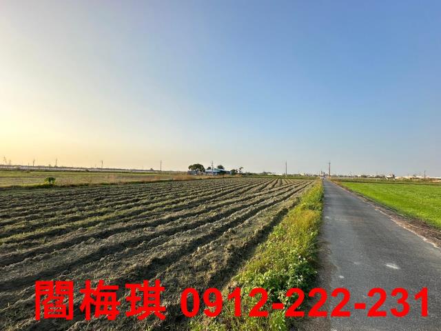 新市農地-9
