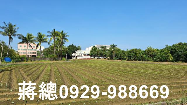 台南農地-11