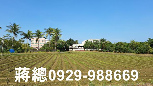 台南農地-5