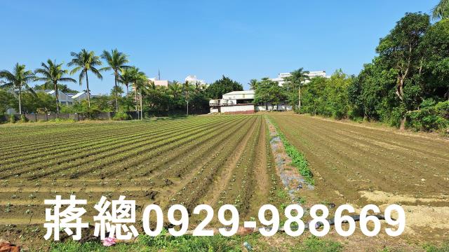 台南農地-2