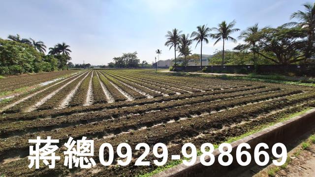 台南農地-7
