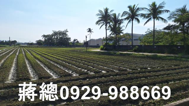 台南農地-9