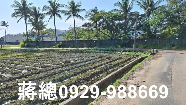 台南農地-10