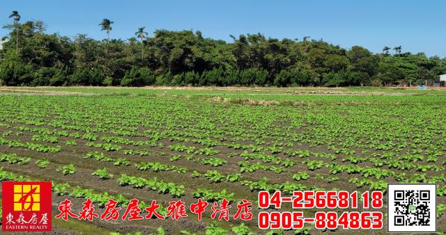 台中神岡農地-2