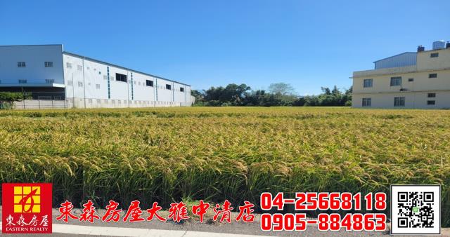 台中神岡農地-6